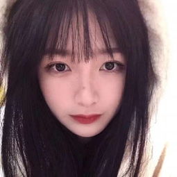 斗牛棋牌手机app下载