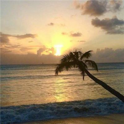 BET体育365投注官网app下载